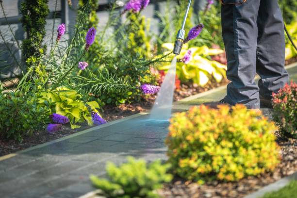 Trusted Fairmount, GA Pressure Washing Services Experts